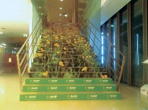 Polep schodů v Andels - polepy na schodech, kampaň BASF